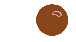 Spell